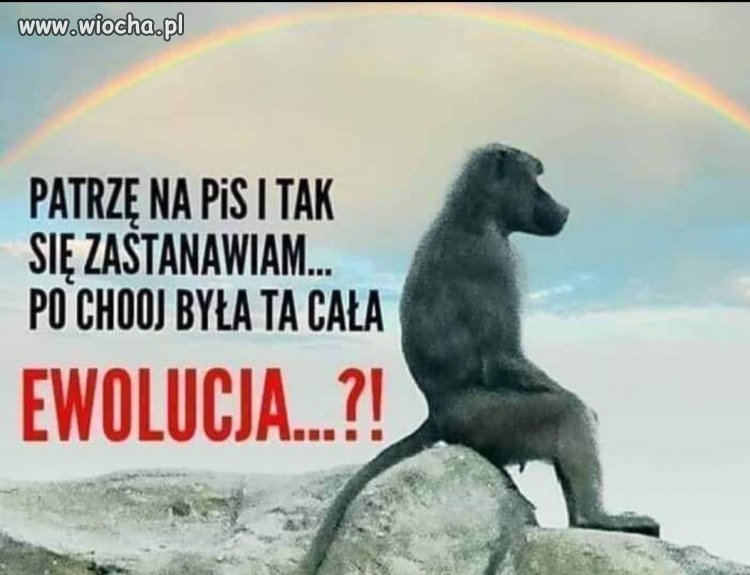Ja też sie zastanawiam