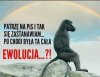 Ja też sie zastanawiam
