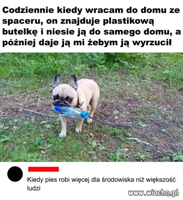 Wzór do naśladowania