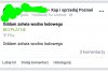Nowy gatunek Żółwia z Antarktydy