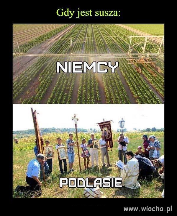 Szaman musi przecież zarobić