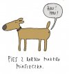 Gdzie psy...