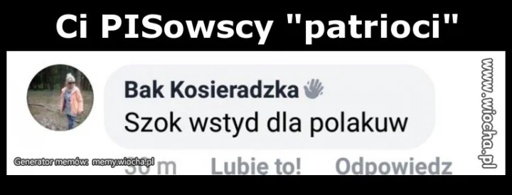 Ci PISowscy "patrioci"