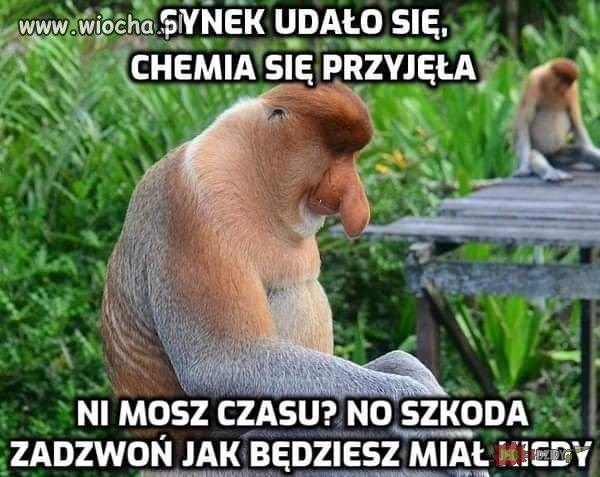 Takie życie