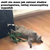 Wypadek