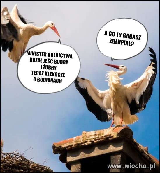 W najbliższą niedzielę