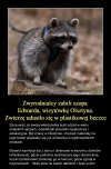 Ludzie to idioci