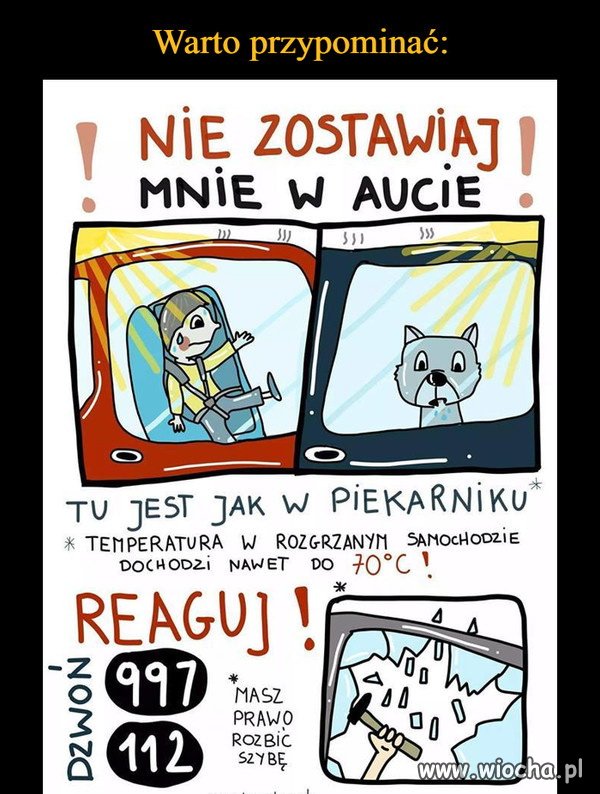 Tak dla przypomnienia
