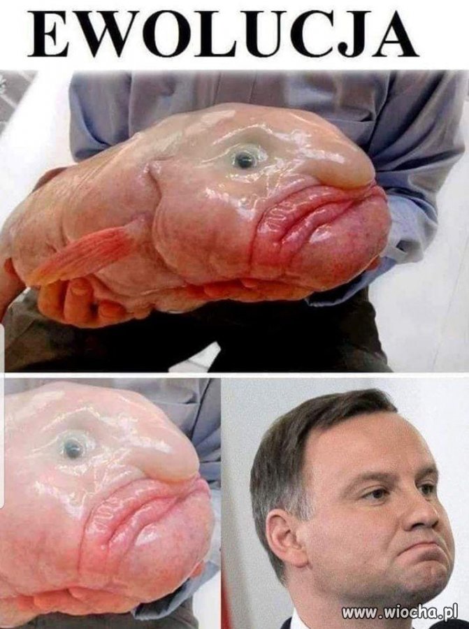 Coś poszło na skróty ?