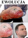 Coś poszło na skróty ?