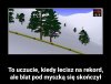 Tyle w temacie