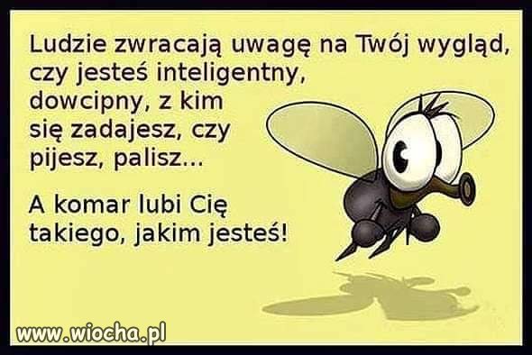 Racja