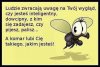 Racja