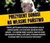 Który to jego  już donos