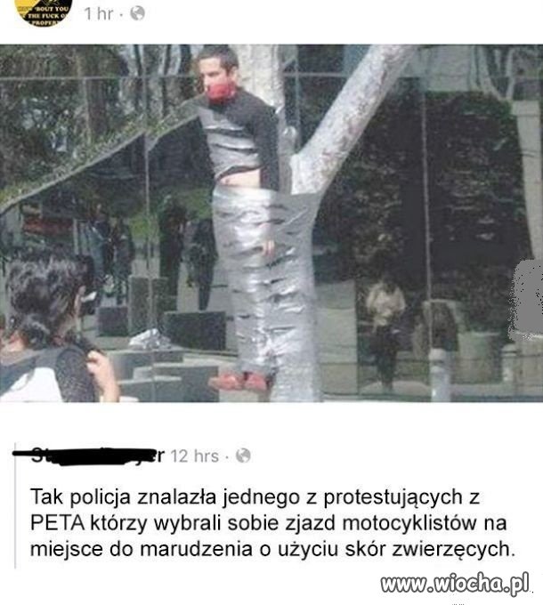 Chyba argumentacja