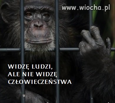 Widzę ludzi