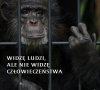 Widzę ludzi