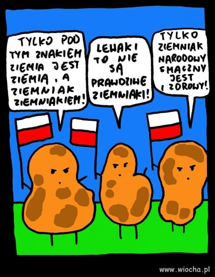 Kartofle prezesa ... łączcie się ...