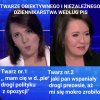 Profesjonalizm po pisowsku