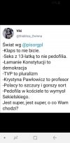Świat według PiS