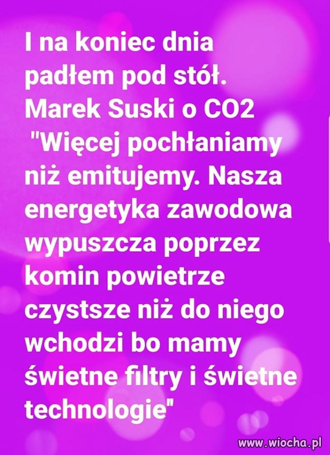 PiSowski ekspert dał głos ...