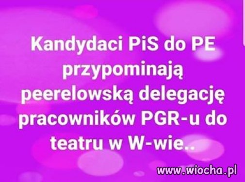 A do PE pewnie pojadą tymi swoimi PKS-mi