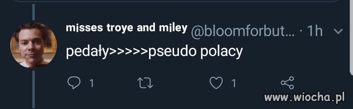 Definicja Polaka