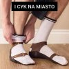W Polską idziemy, drodzy panowie