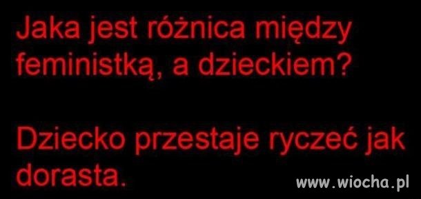 Nic dodać,