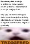 Coś w tym jest