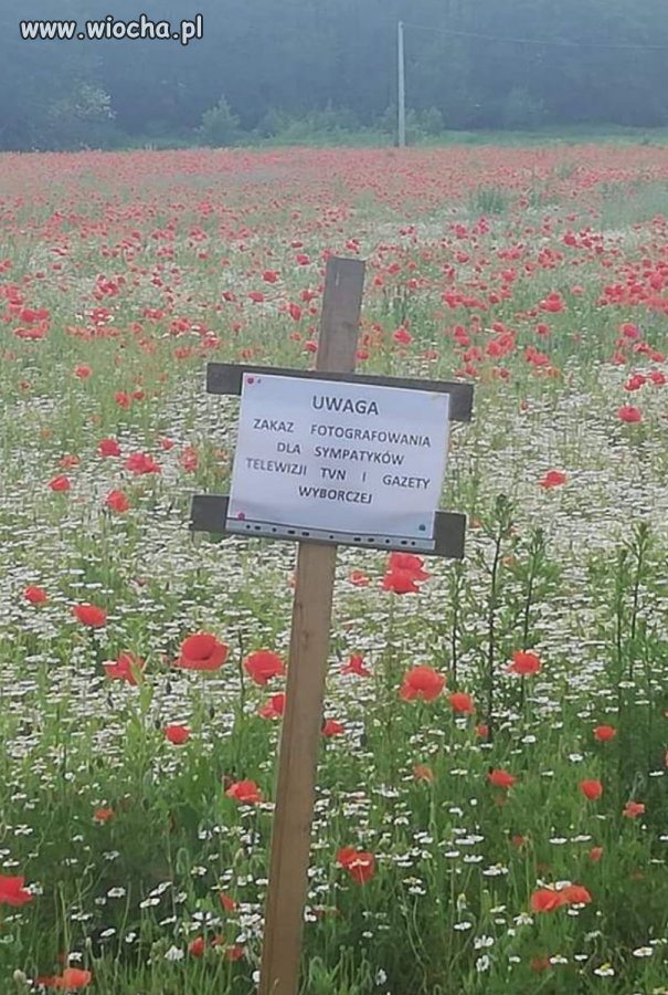 A to Polska właśnie...