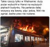 Zaprawieni