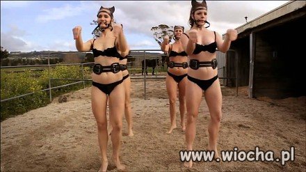 Na wsi,w zagrodzie