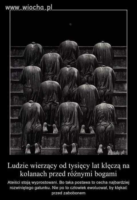 Znaleziono w internecie.