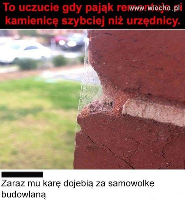 Życie