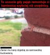 Życie