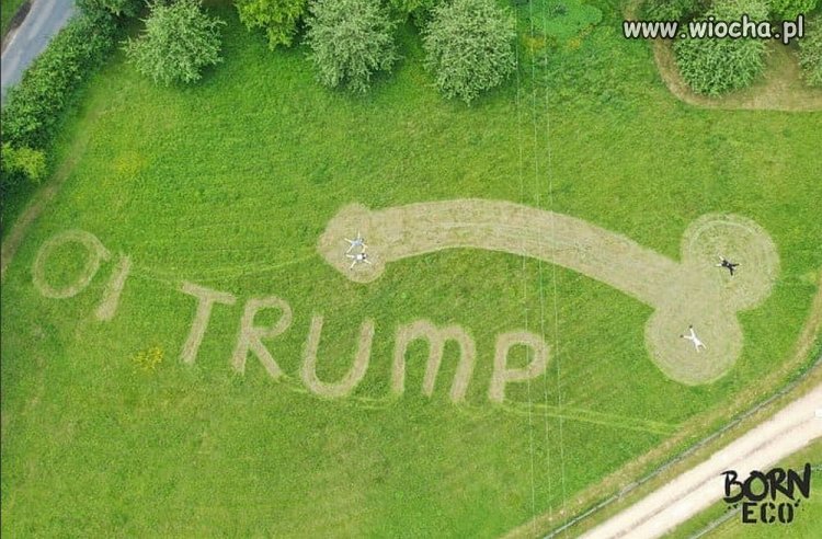 Angielski humor- powitanie Trumpa