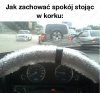 Coś w tym jest