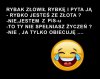 No i całe szczęście