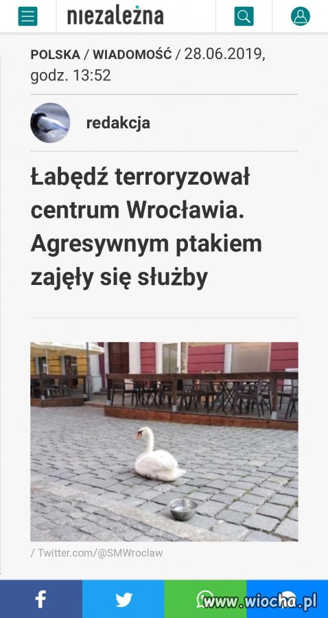 Tymczasem w prawicowych mediach. 