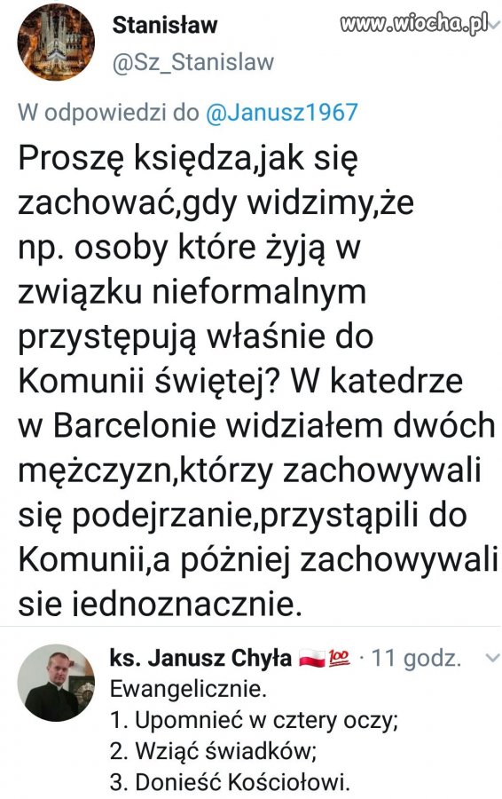 Donosy katotalibów