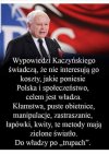 Władza, władza
