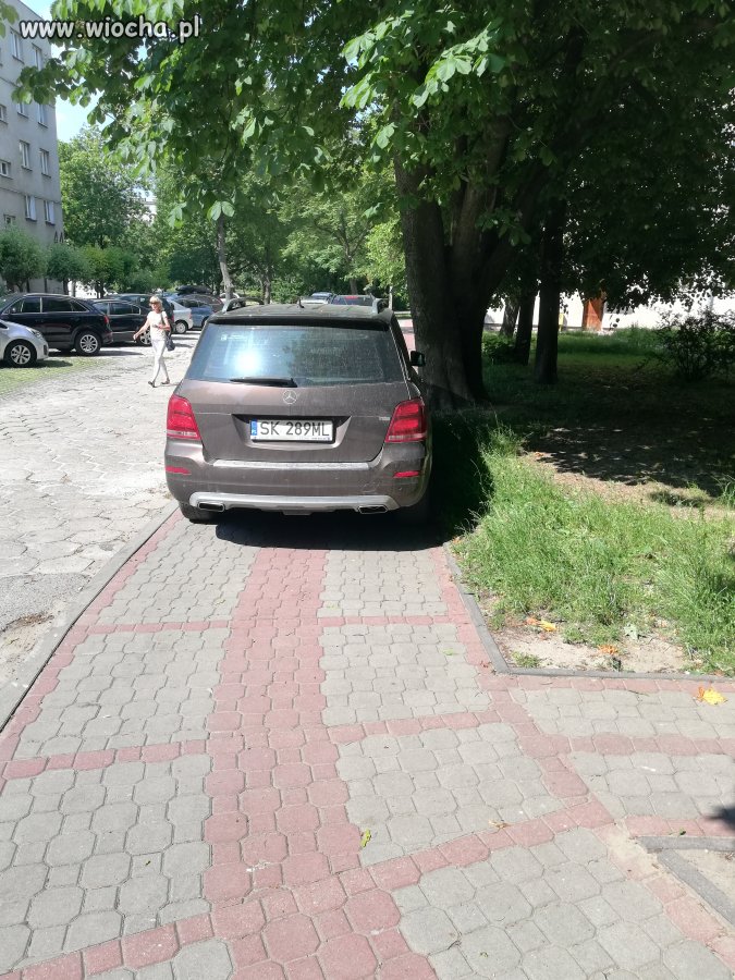 Pan przyjechał do miasta