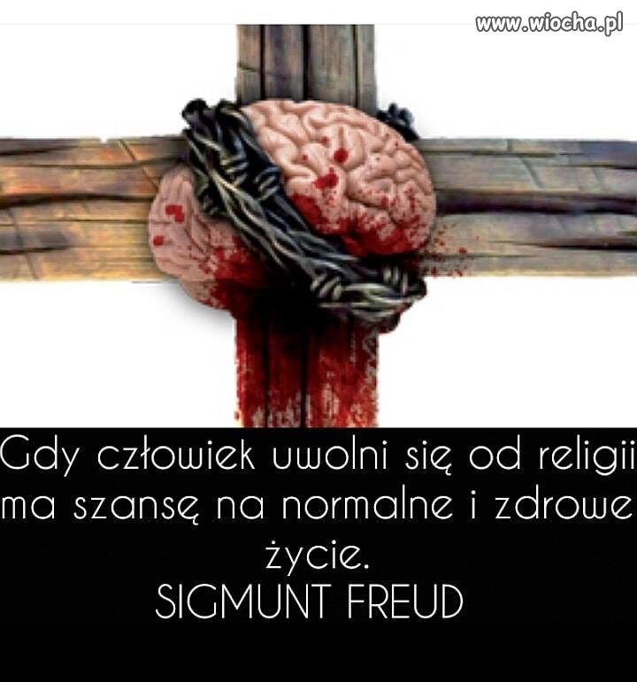 Spróbuj, naprawdę warto ...