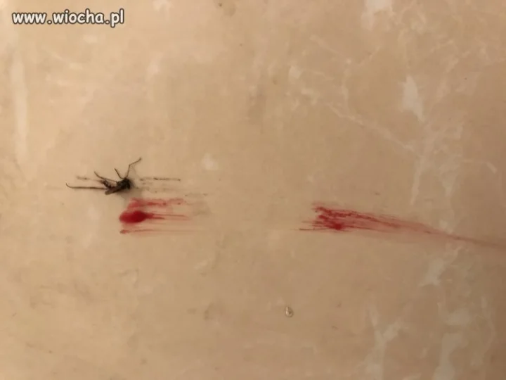 Pamiętaj że...