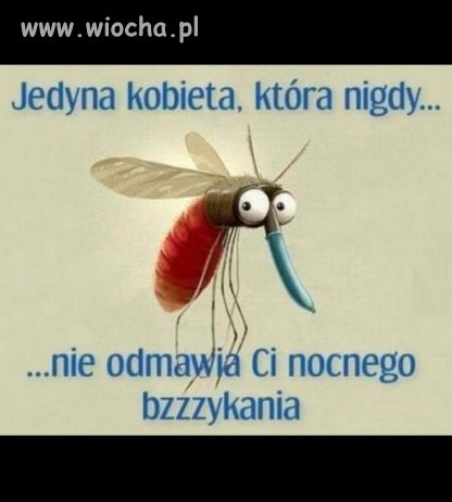 Nie ma to jak nocne bzykanko