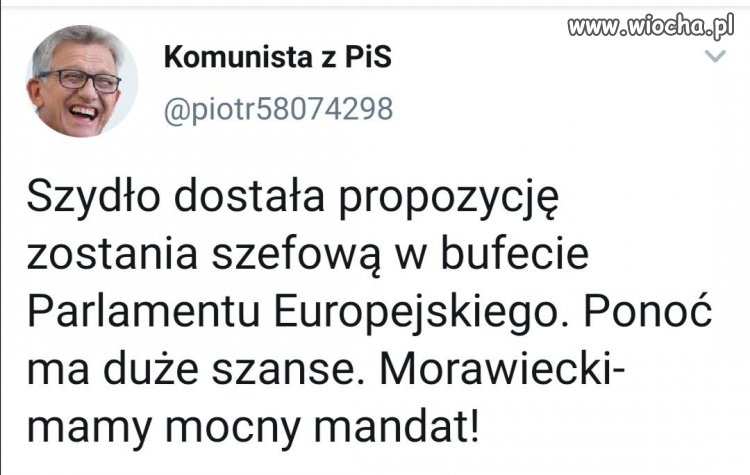 W bufecie nie musi znać j. angielskiego