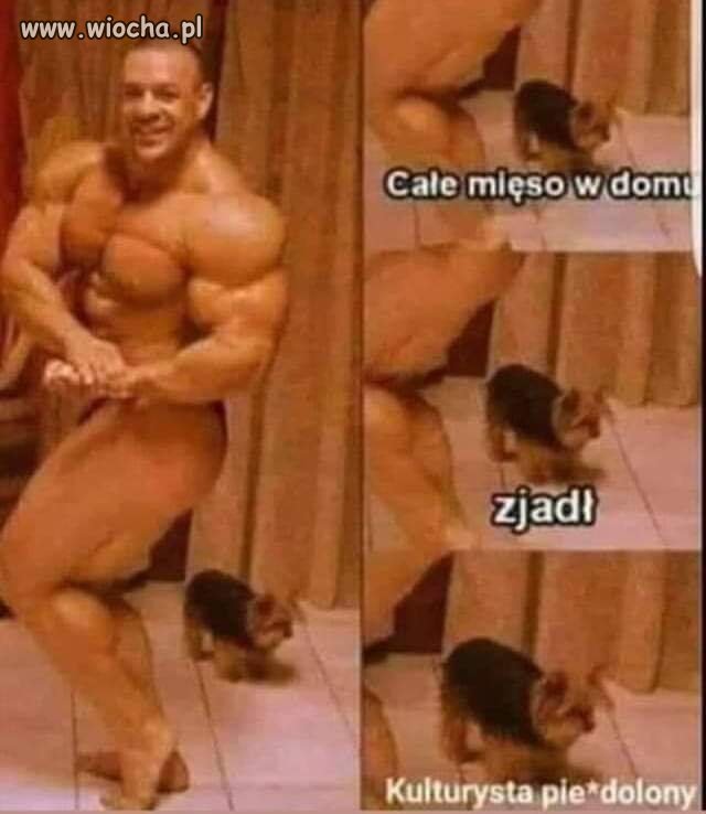 Biedna psina