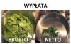 Dobra zmiana