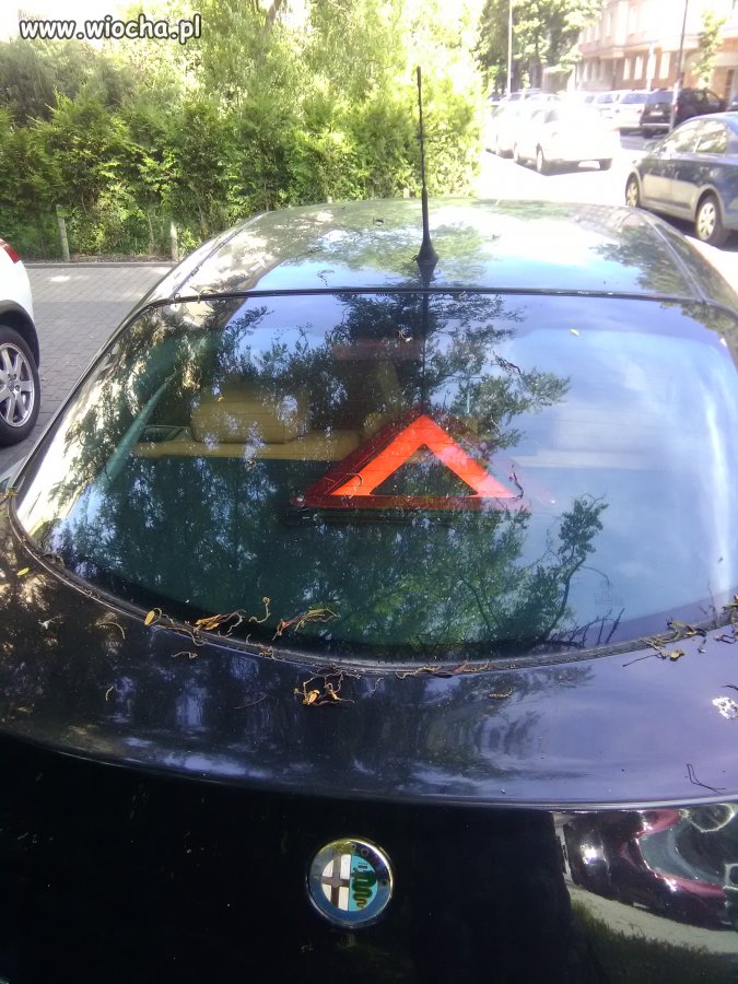 Idealna symbioza dwóch symboli... 